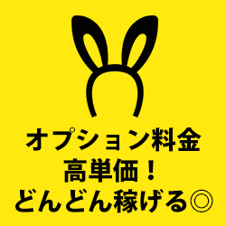 オプション料金フルバック